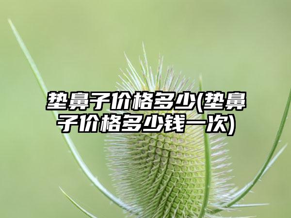 垫鼻子价格多少(垫鼻子价格多少钱一次)