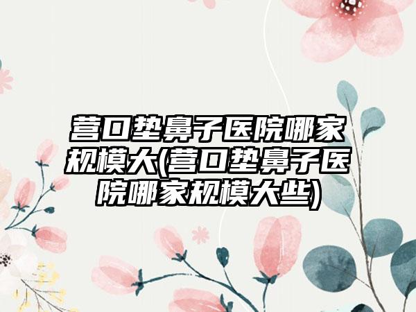 营口垫鼻子医院哪家规模大(营口垫鼻子医院哪家规模大些)