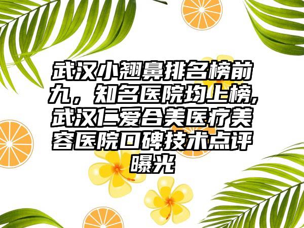 武汉小翘鼻排名榜前九，有名医院均上榜,武汉仁爱合美医疗美容医院口碑技术点评曝光