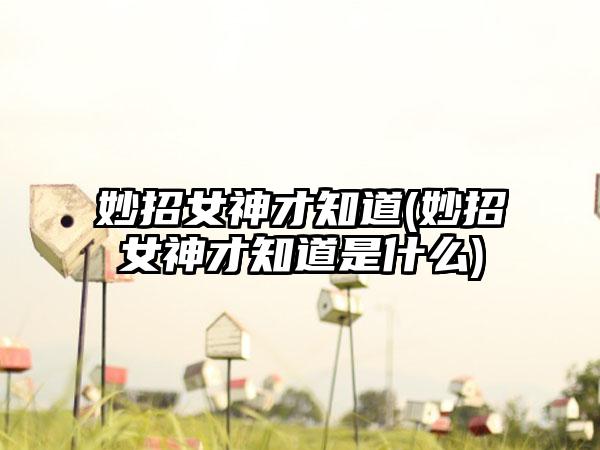 妙招女神才知道(妙招女神才知道是什么)