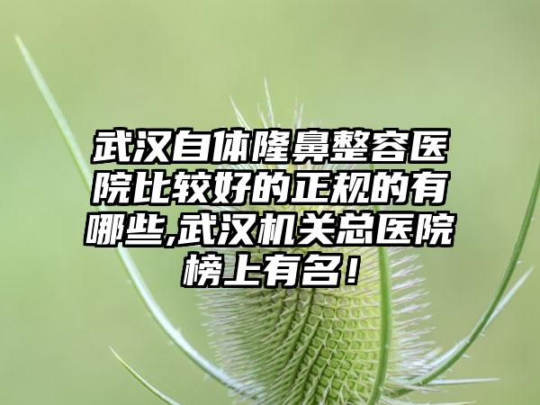 武汉自体隆鼻整容医院比较好的正规的有哪些,武汉机关总医院榜上有名！