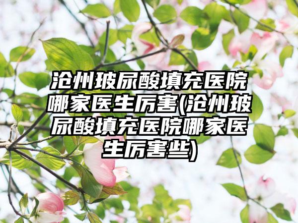 沧州玻尿酸填充医院哪家医生厉害(沧州玻尿酸填充医院哪家医生厉害些)