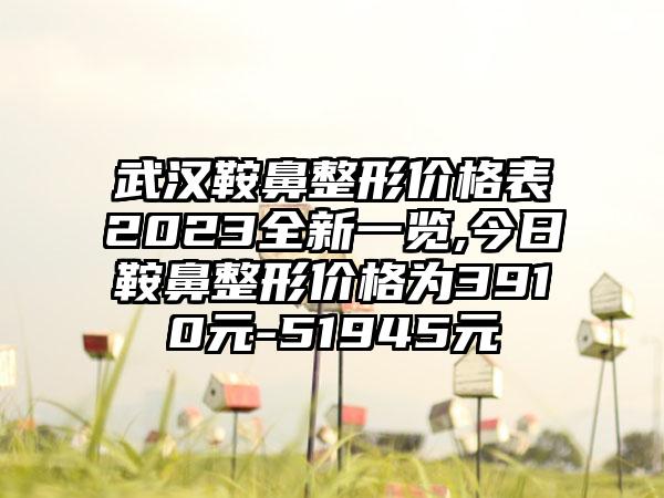 武汉鞍鼻整形价格表2023全新一览,今日鞍鼻整形价格为3910元-51945元