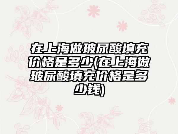 在上海做玻尿酸填充价格是多少(在上海做玻尿酸填充价格是多少钱)