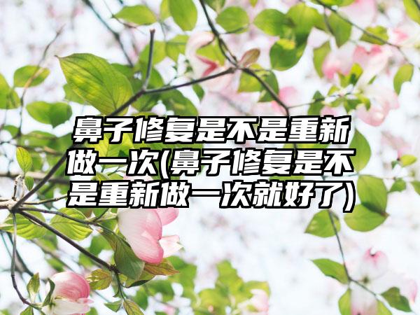 鼻子修复是不是重新做一次(鼻子修复是不是重新做一次就好了)