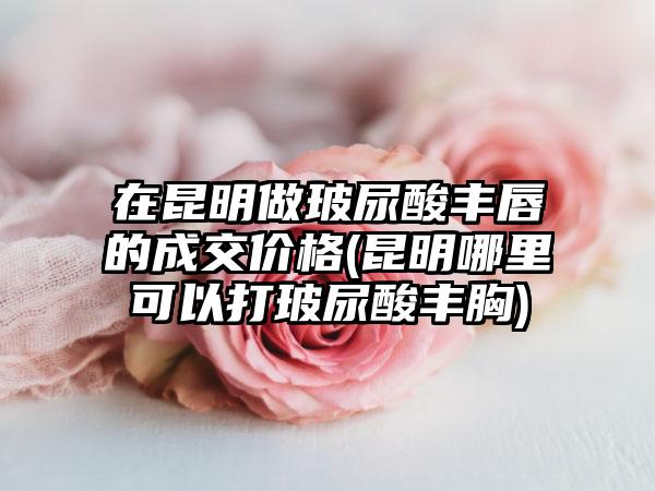 在昆明做玻尿酸丰唇的成交价格(昆明哪里可以打玻尿酸丰胸)