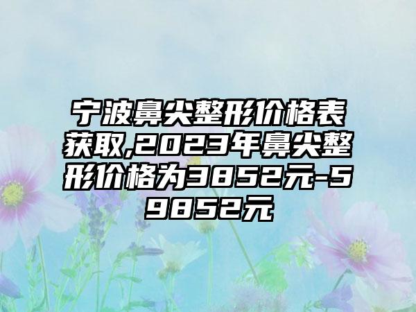 宁波鼻尖整形价格表获取,2023年鼻尖整形价格为3852元-59852元