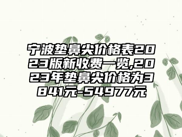 宁波垫鼻尖价格表2023版新收费一览,2023年垫鼻尖价格为3841元-54977元