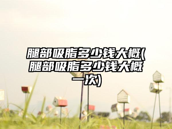 腿部吸脂多少钱大概(腿部吸脂多少钱大概一次)