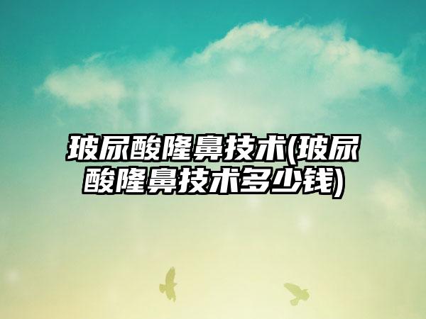 玻尿酸隆鼻技术(玻尿酸隆鼻技术多少钱)