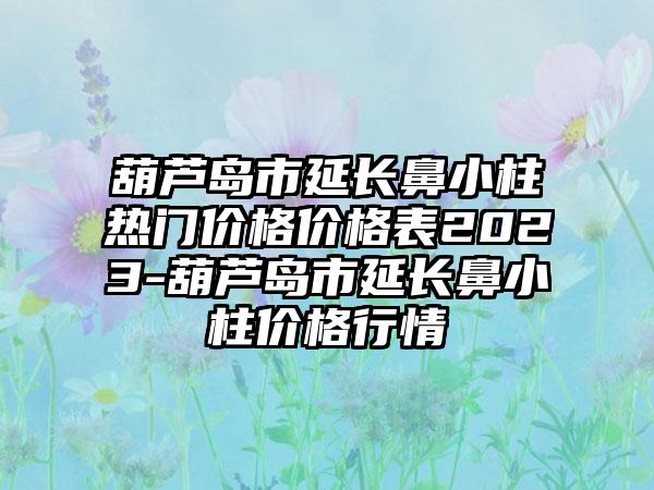 葫芦岛市延长鼻小柱热门价格价格表2023-葫芦岛市延长鼻小柱价格行情