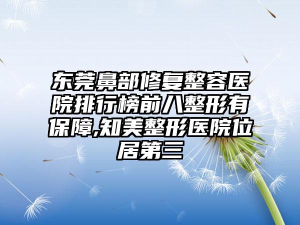 东莞鼻部修复整容医院排行榜前八整形有保护,知美整形医院位居第三