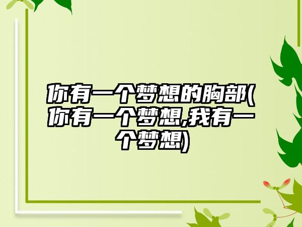 你有一个梦想的胸部(你有一个梦想,我有一个梦想)