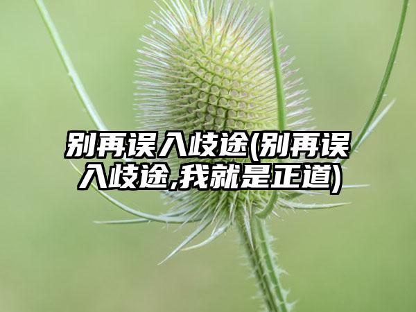 别再误入歧途(别再误入歧途,我就是正道)