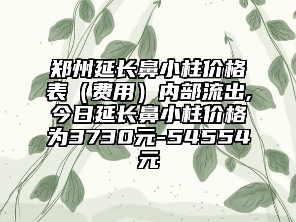 郑州延长鼻小柱价格表（费用）内部流出,今日延长鼻小柱价格为3730元-54554元