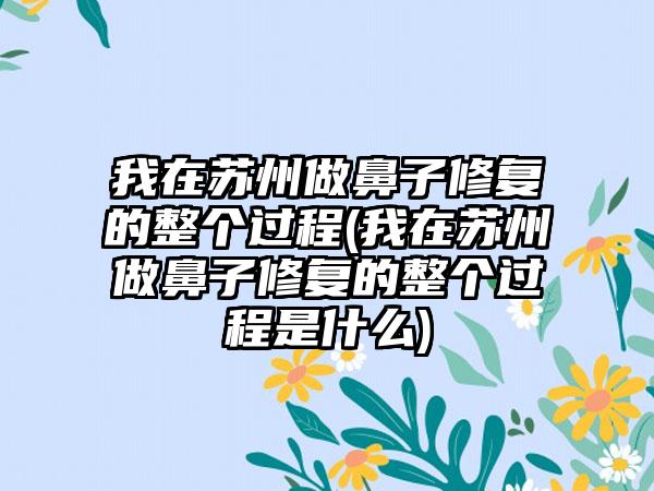 我在苏州做鼻子修复的整个过程(我在苏州做鼻子修复的整个过程是什么)