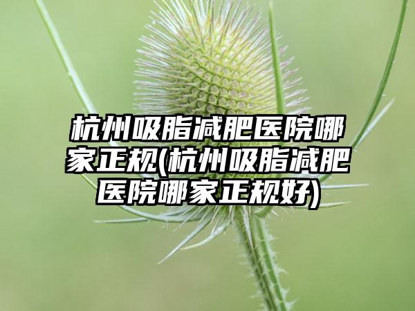 杭州吸脂减肥医院哪家正规(杭州吸脂减肥医院哪家正规好)