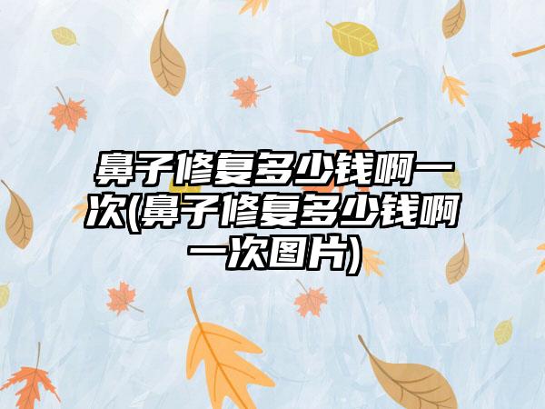 鼻子修复多少钱啊一次(鼻子修复多少钱啊一次图片)