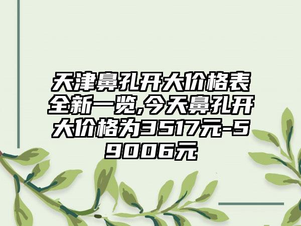 天津鼻孔开大价格表全新一览,今天鼻孔开大价格为3517元-59006元