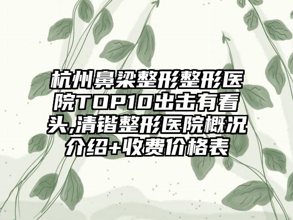 杭州鼻梁整形整形医院TOP10出击有看头,清锴整形医院概况介绍+收费价格表