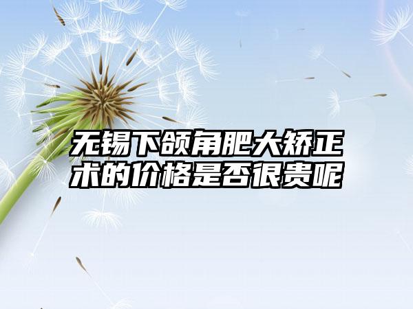 无锡下颌角肥大矫正术的价格是否很贵呢