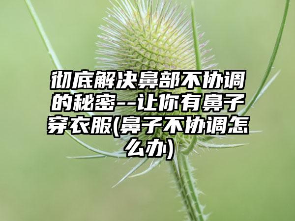 彻底解决鼻部不协调的秘密--让你有鼻子穿衣服(鼻子不协调怎么办)