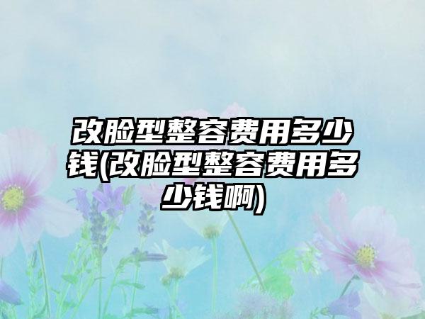 改脸型整容费用多少钱(改脸型整容费用多少钱啊)