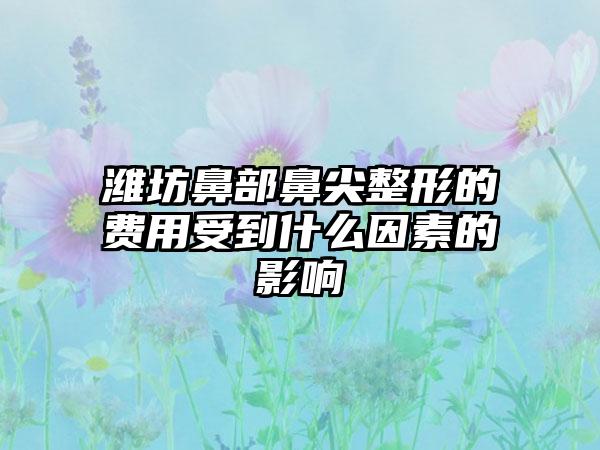 潍坊鼻部鼻尖整形的费用受到什么因素的影响