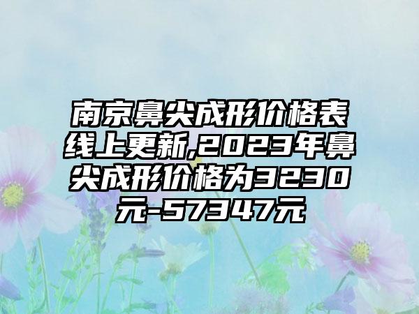 南京鼻尖成形价格表线上更新,2023年鼻尖成形价格为3230元-57347元