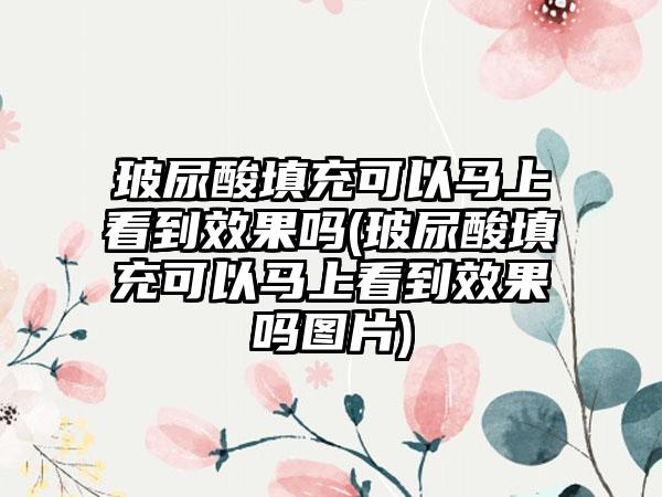 玻尿酸填充可以马上看到成果吗(玻尿酸填充可以马上看到成果吗图片)