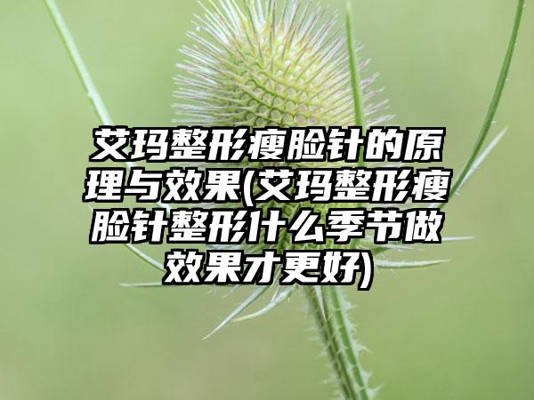 艾玛整形瘦脸针的原理与成果(艾玛整形瘦脸针整形什么季节做成果才更好)