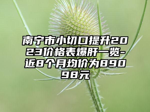 南宁市小切口提升2023价格表爆肝一览-近8个月均价为89098元