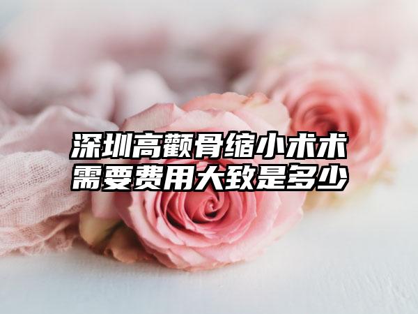 深圳高颧骨缩小术术需要费用大致是多少