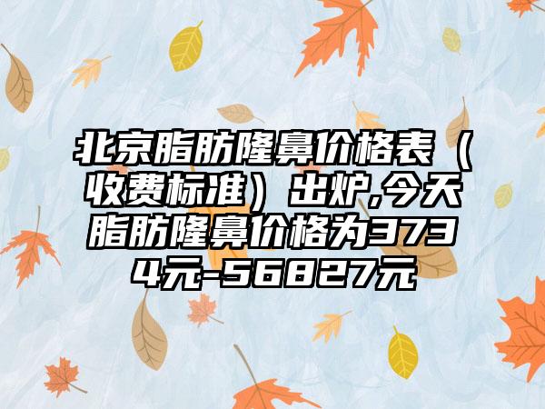 北京脂肪隆鼻价格表（收费标准）出炉,今天脂肪隆鼻价格为3734元-56827元