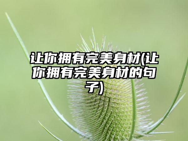 让你拥有理想身材(让你拥有理想身材的句子)