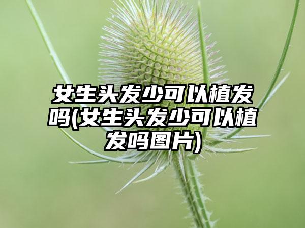 女生头发少可以植发吗(女生头发少可以植发吗图片)