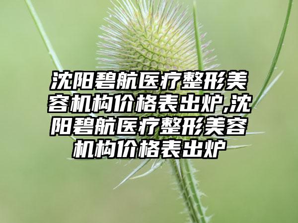 沈阳碧航医疗整形美容机构价格表出炉,沈阳碧航医疗整形美容机构价格表出炉