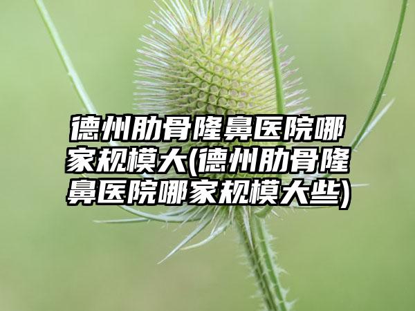 德州肋骨隆鼻医院哪家规模大(德州肋骨隆鼻医院哪家规模大些)