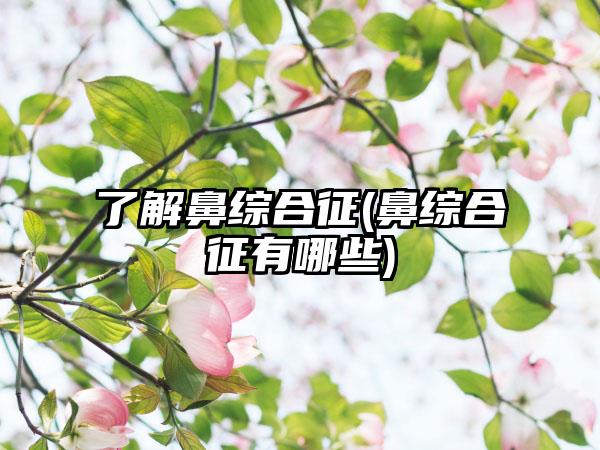 了解鼻综合征(鼻综合征有哪些)