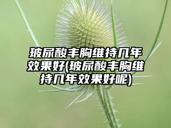 玻尿酸丰胸维持几年成果好(玻尿酸丰胸维持几年成果好呢)