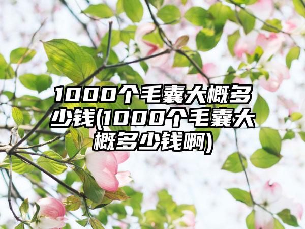 1000个毛囊大概多少钱(1000个毛囊大概多少钱啊)