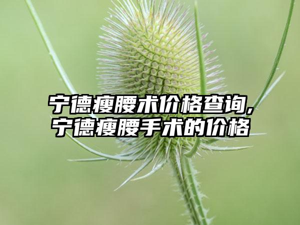 宁德瘦腰术价格查询,宁德瘦腰手术的价格