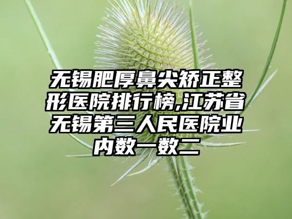 无锡肥厚鼻尖矫正整形医院排行榜,江苏省无锡第三人民医院业内数一数二