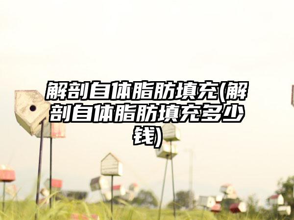 解剖自体脂肪填充(解剖自体脂肪填充多少钱)