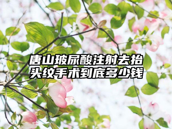 唐山玻尿酸注射去抬头纹手术到底多少钱