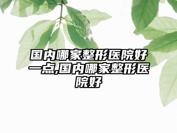 国内哪家整形医院好一点,国内哪家整形医院好