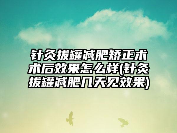 针灸拔罐减肥矫正术术后成果怎么样(针灸拔罐减肥几天见成果)