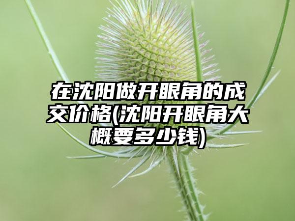 在沈阳做开眼角的成交价格(沈阳开眼角大概要多少钱)