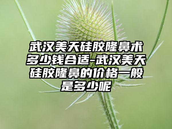 武汉美天硅胶隆鼻术多少钱合适-武汉美天硅胶隆鼻的价格一般是多少呢