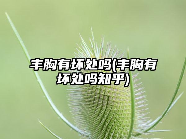 丰胸有坏处吗(丰胸有坏处吗知乎)